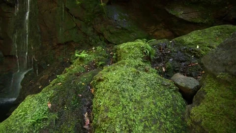 Nature of Madeira Stock Footage 142130266