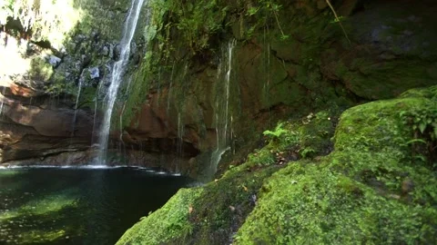 Nature of Madeira Stock Footage 142130274