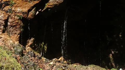 Nature of Madeira Stock Footage 142130276
