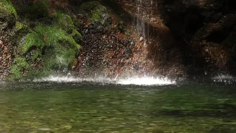 Nature in Madeira Stock Footage 142130306