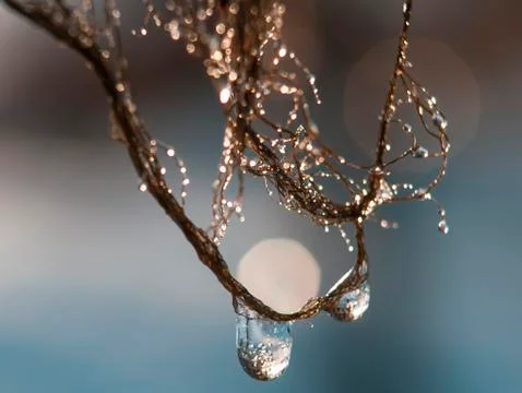 Nature magic Stock Photos