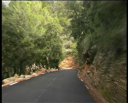 Nature in Majorca Stock Footage 123218