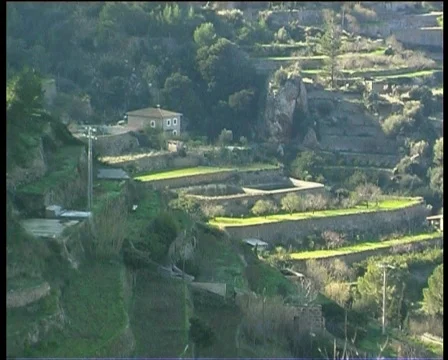 Nature in Majorca Stock Footage 123232