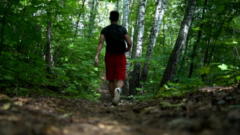 Nature -  A man with a backpack and red shorts and traveling through the forest Stock Footage 157975448