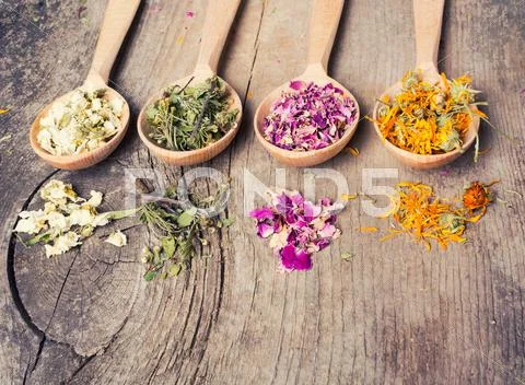 Nature Medicine . Herbs In Wooden Spoon .