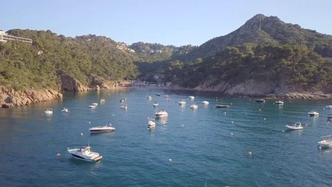 The nature of the Mediterranean. Spain. Stock Footage 129562769