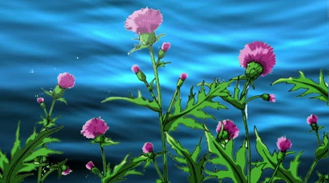 Nature, Milky Thistle Flowers Stock Footage 45951940