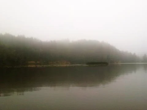 Nature In The Mist Foto stock