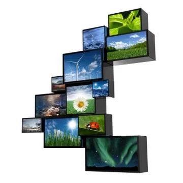 Nature monitors Stock Illustration