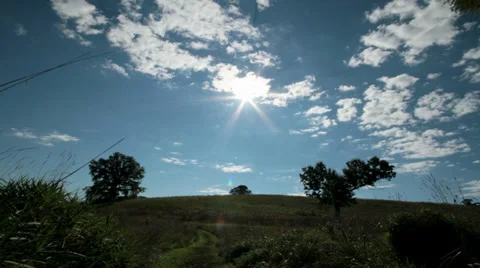 Nature Montage Sequence Vídeo Stock 29555115