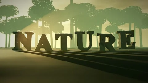 Nature Moss Covered Ancient Stone Letters in a Misty Jungle Ruin with Light Stock Footage 342079765