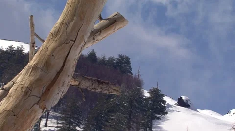 Nature motion 스톡 동영상 48595726