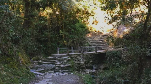 Nature mountain forest HD video background. Road up stairs and bridge. Stock Footage 64827740