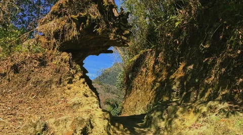 Nature mountain forest HD video background. Ground relief and tree root. Stock Footage 64827801