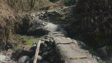Nature mountain forest landscape HD video background. Road up stairs and bridge. Stock Footage 64828583
