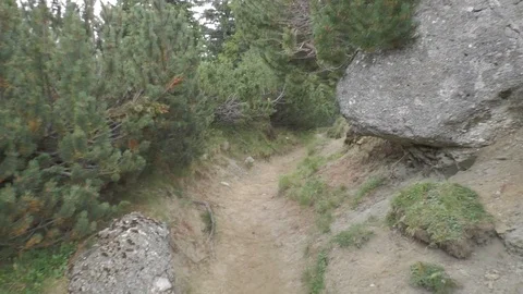 Nature Mountain Path Stock Footage 90793111