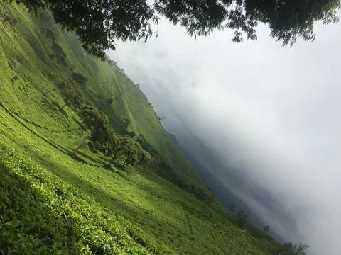 Nature mountain Foto stock