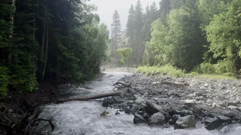 Nature mountain river forest sun magical morning Video stock 161820663