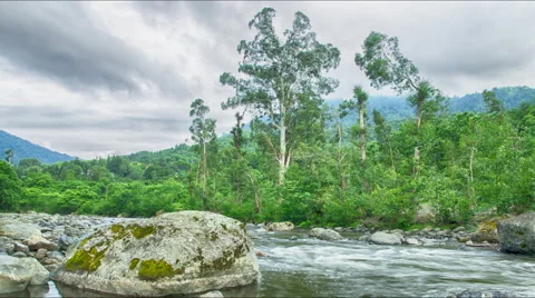 Nature mountain river timelapse landscape trees Georgia Caucasus Video stock 64024073