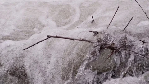 Nature, Mountain stream Stock Footage 73796677