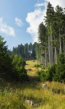 Nature in mountains Stock Photos