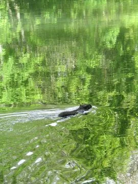 Nature from Mulhouse Stock Photos