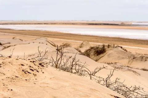Nature of Namibia Stock Photos