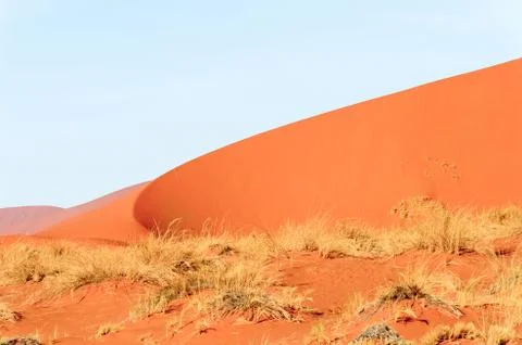 Nature of Namibia Stock Photos