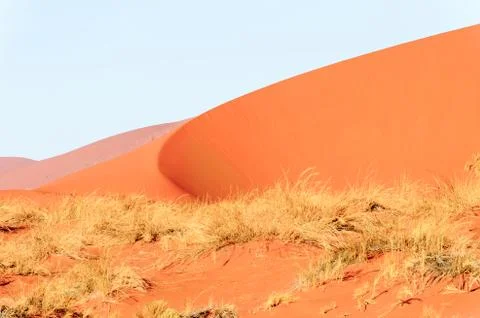 Nature of Namibia Stock Photos