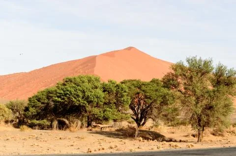 Nature of Namibia Stock Photos