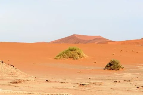Nature of Namibia Stock Photos