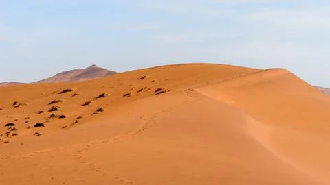 Nature of Namibia Stock Photos