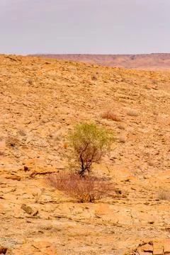 Nature of Namibia Stock Photos
