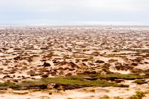Nature of Namibia Stock Photos