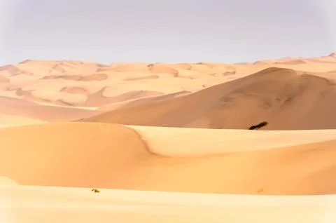 Nature of Namibia Stock Photos