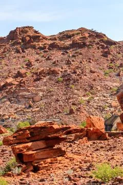 Nature of Namibia Stock Photos
