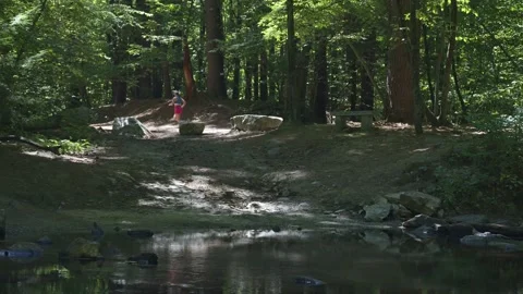 Nature in New England - Stream - Pond Stock Footage 204802409