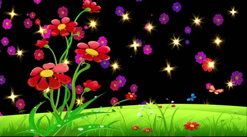 Nature, Night Flowers Stock Footage 45956959