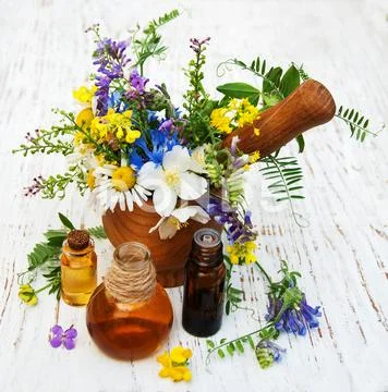 Nature oil with wildflowers Stock Photos