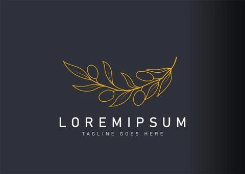 Nature olive logo design. Vector illustration of Hand drawn wedding olive. Mo Illustration