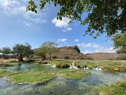 Nature of Oman Stock Photos