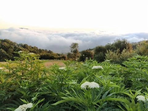 Nature over clouds Stock Photos