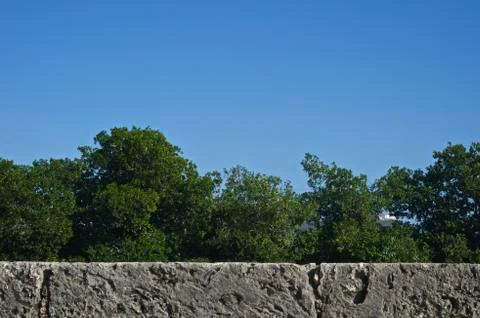 Nature over the wall Stock Photos