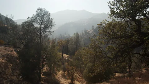 Nature overlook with river, roads, fall colors, and blue sky, sun flare Stock Footage 146564664