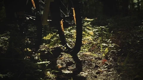 Nature Package 24 | backpackers cyclists cycling in woods forest bicycle closeup Stock Footage 119155942