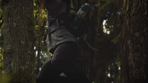 Nature Package 3 | man jumping down from higher ground tree in forest Stock Footage 119154984