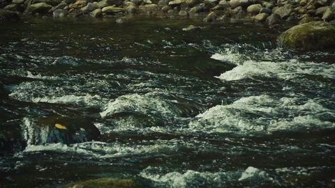 Nature Package 33 | multiple shots of water flowing down lake river rocks Stock Footage 119170273