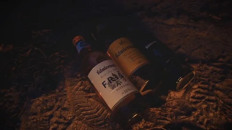 Nature Package 39 | campers drinking bear eating sausage at campfire Stock Footage 119170254