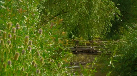 Nature paradise Stock Footage 842938