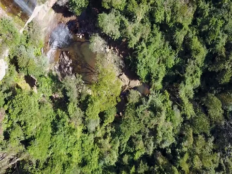 Nature in Paraguay Stock-Footage 78356368